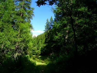 DSC06105 