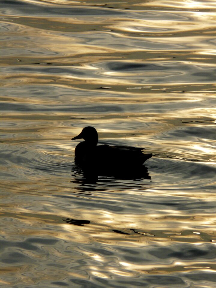 Reflection freedom peace of mind