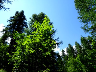 DSC05960 