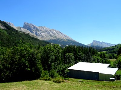DSC06312 
