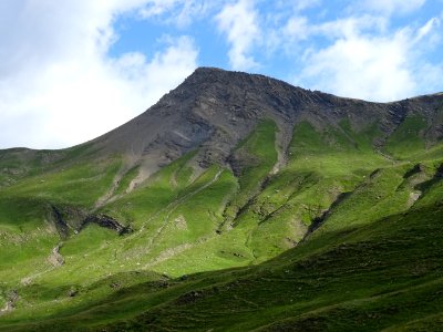 DSC05886 
