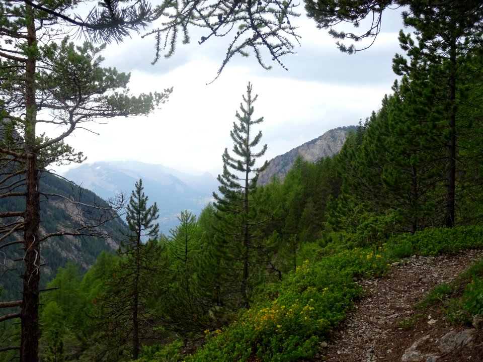 Dans la descente vers le refuge de Basse Rua, vue vers la … 