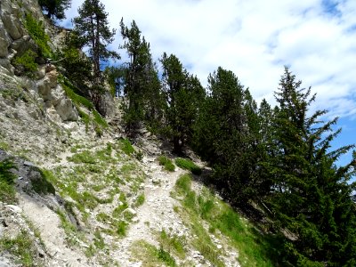 Le sentier remonte assez fort vers la Crête d'Andreveysson… 