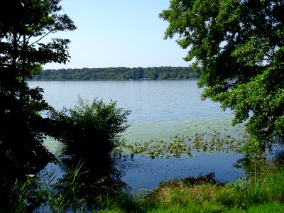DSC05096 