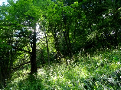 DSC07395 