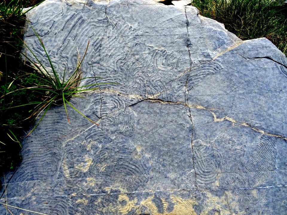Traces ... sur les roches 