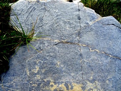 Traces ... sur les roches 