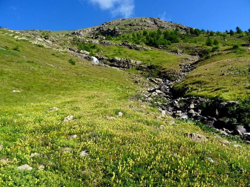 Il faut remonter la prairie à gauche, sur la rive droite d… 