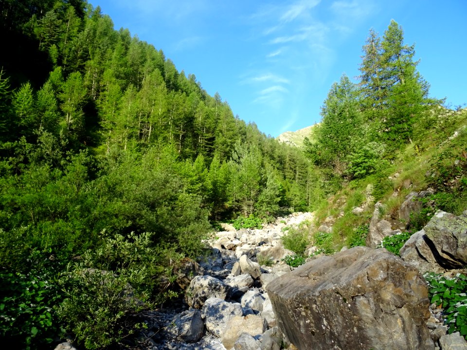 Dans le vallon du Rabioux 