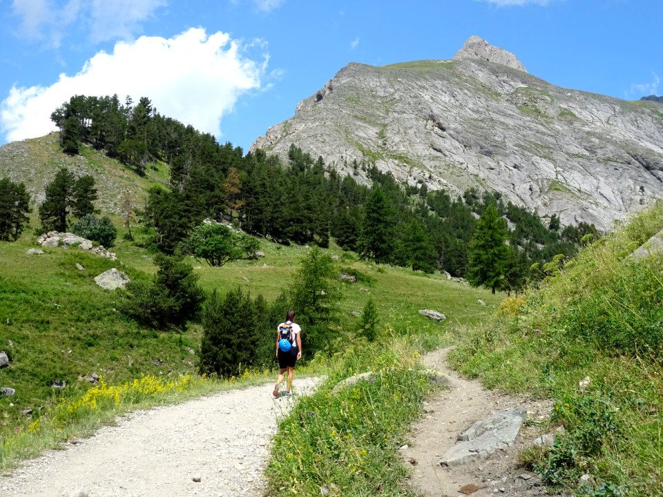 A l'entrée du vallon de l'Alpe du Lauzet 