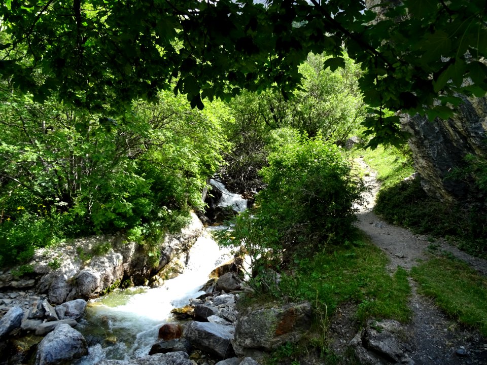 Le long du torrent du Rif 