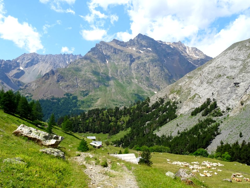 Regard arrière dans la montée, vallon de l'Alpe du Lauzet 
