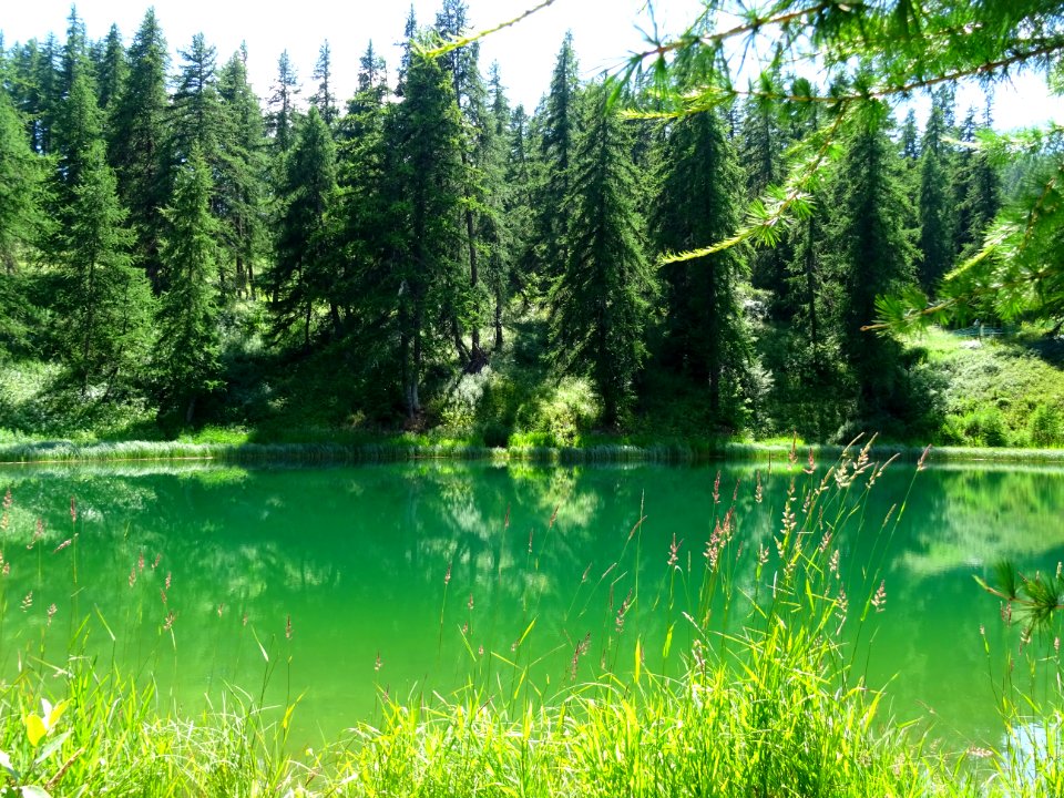 Lac des Hermès, Puy-Saint-Vincent, Hautes-Alpes 