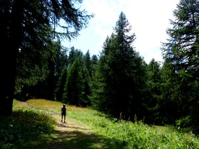 DSC06036 