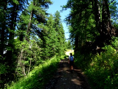 DSC06029 