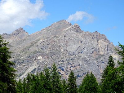 DSC06027 
