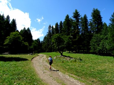 DSC05994 