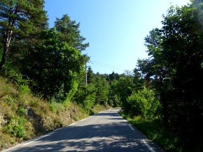 Sur la route entre le col de la Sine et le col du Castella… 