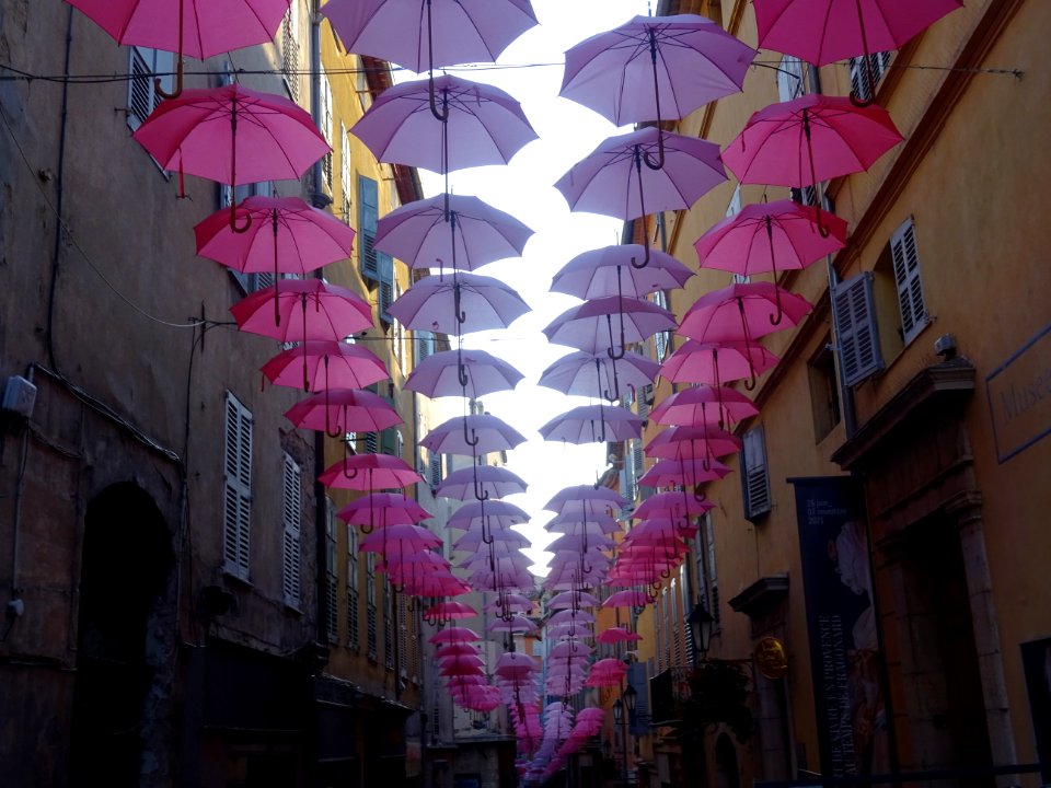 Des parapluies roses dans les rues du centre, Grasse, Alpe… 