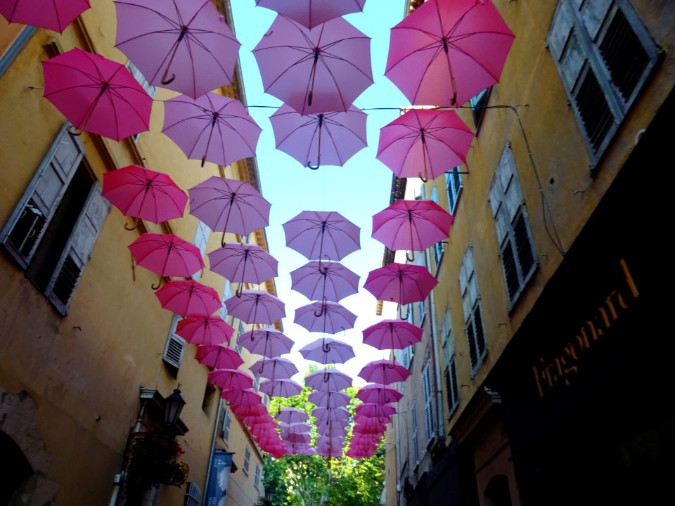 Des parapluies roses dans les rues du centre, Grasse, Alpe… 