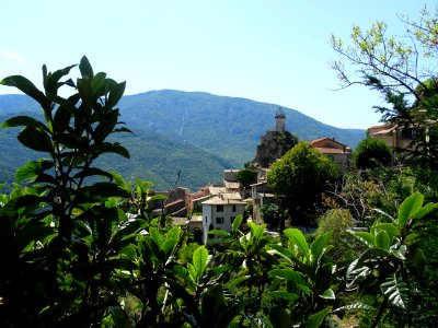 A travers les néfliers, vue sur la Tour de l'Horloge, Siga… 