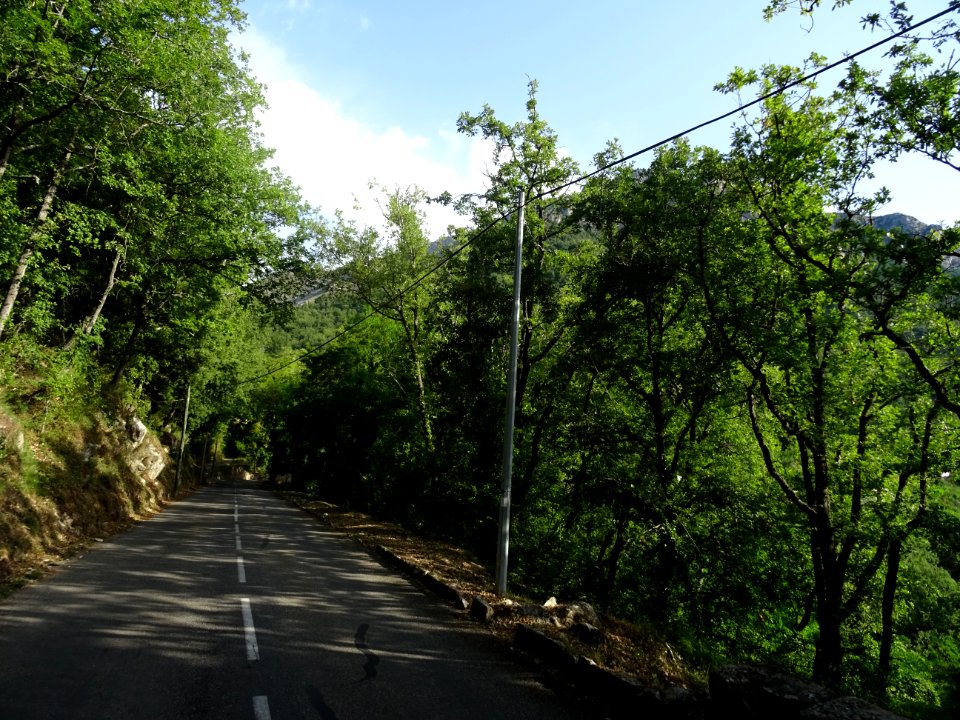 DSC07892 