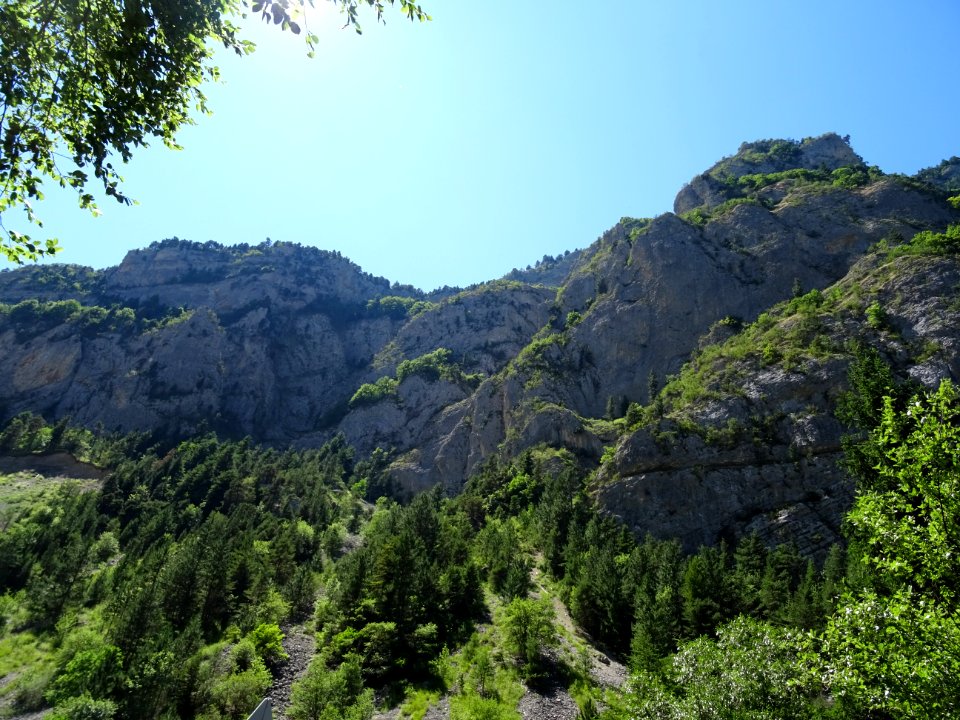 La D537 traverse la forêt domaniale de Pellafol, Isère 