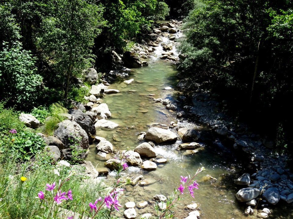 La Souloise, juste en-dessous de Saint-Disdier-en-Dévoluy,… 