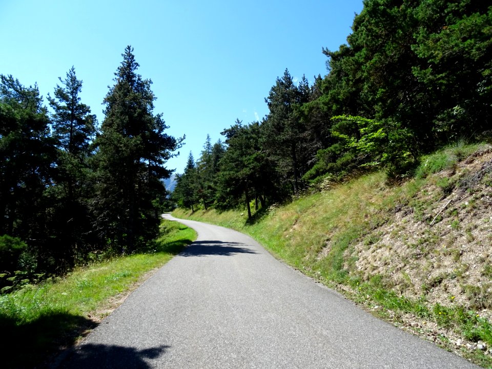 Dans la montée au col du Noyer 