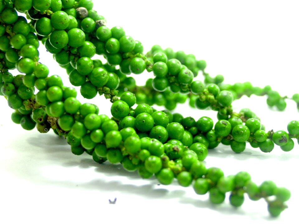 Black black pepper circle