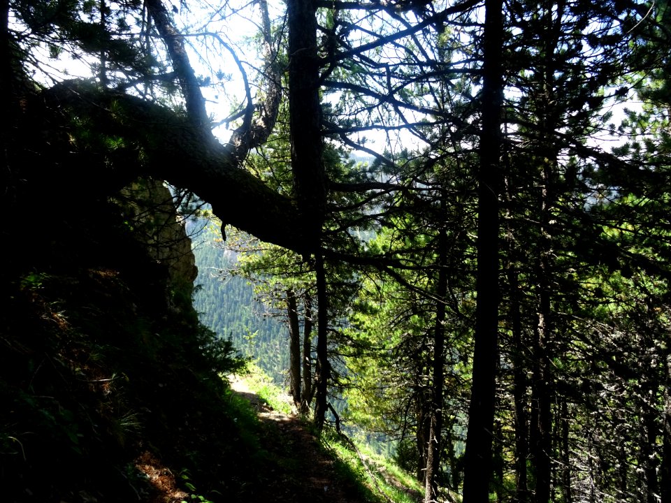 Le sentier pour descendre vers le refuge Basse Rua 