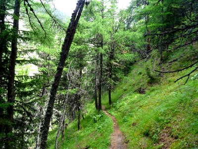 Le sentier pour descendre vers le refuge Basse Rua 