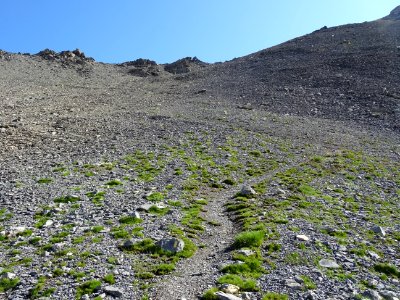 Il reste quelques longueurs pour atteindre le Col de Colet… 