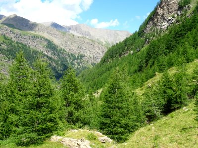 Suite de la descente dans le vallon du Rabioux 