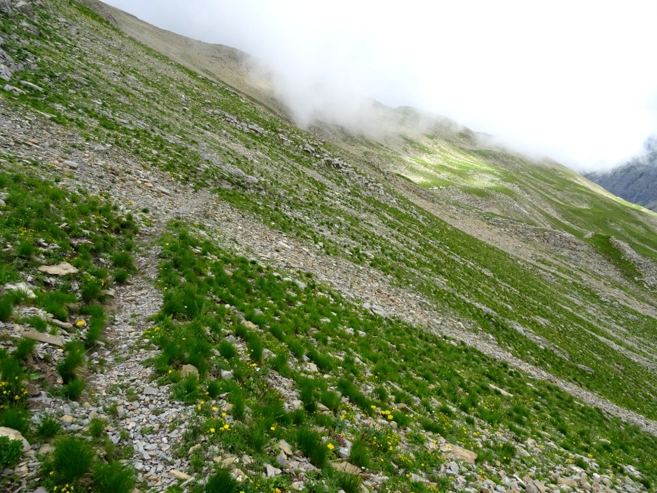 Sur le sentier ou trace, dans la descente du col de la Règ… 