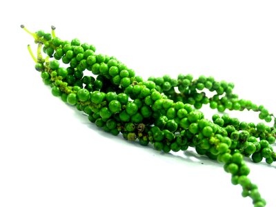 Black black pepper circle