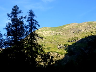 DSC06964 