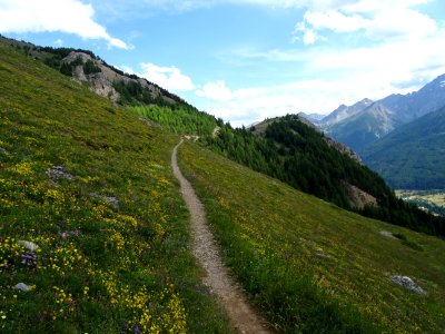 DSC05769 