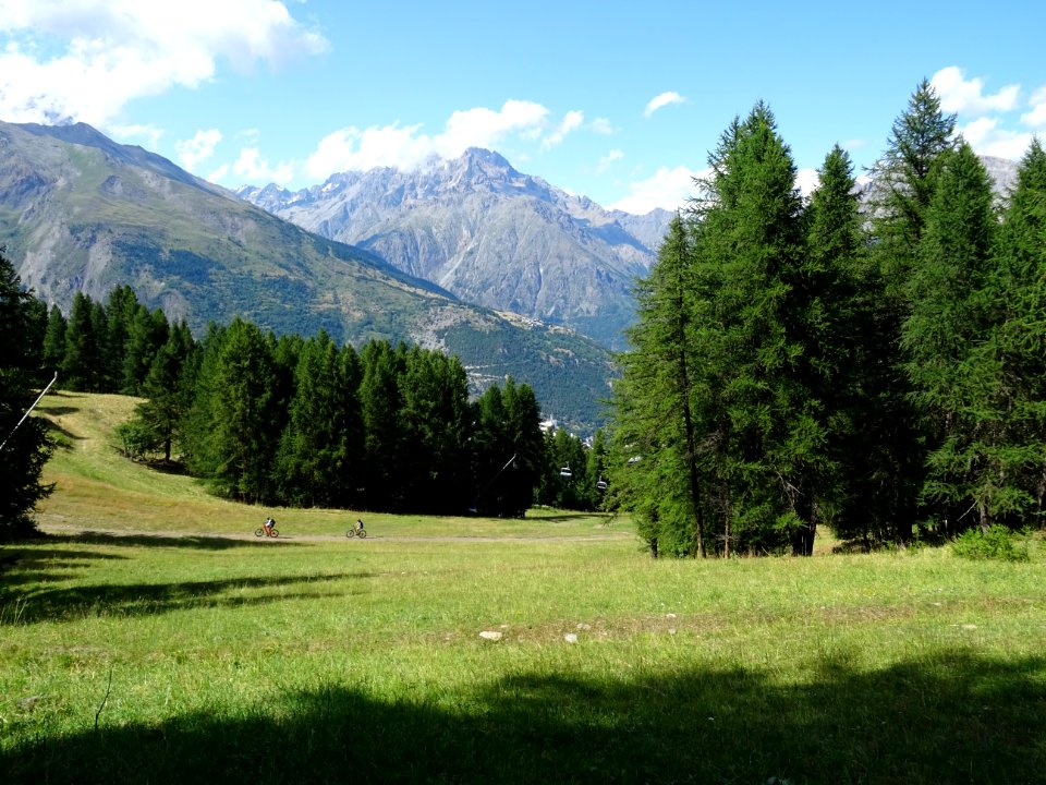 Retour par les pistes de ski, bien en herbes à cette époqu… 