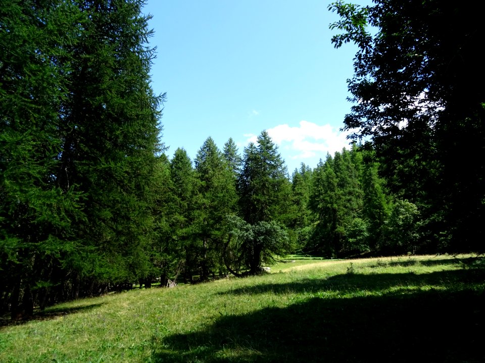 DSC05991 
