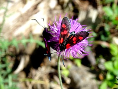DSC05980 