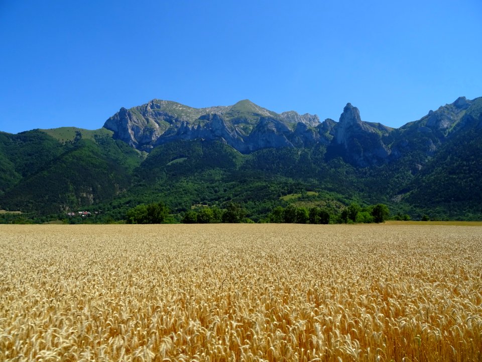 Entre Les Chaneaux et Les Payas, depuis la route de la Pla… 