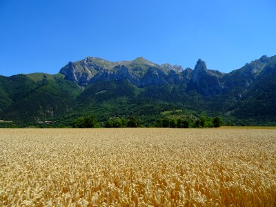 Entre Les Chaneaux et Les Payas, depuis la route de la Pla… 