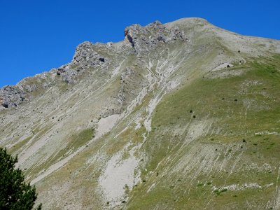DSC06240 
