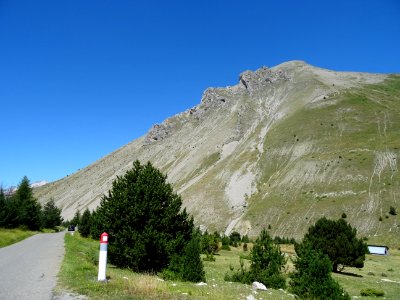 DSC06239 