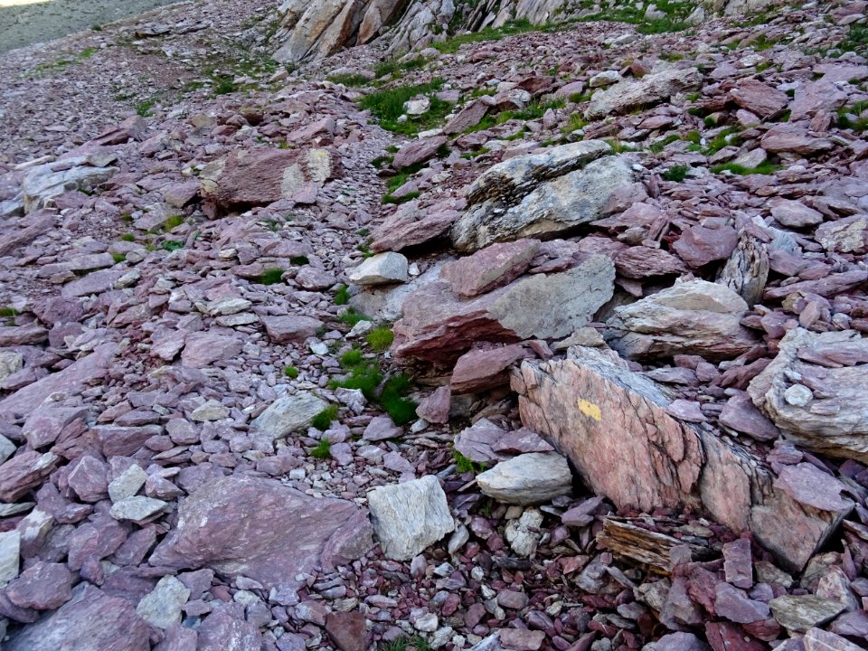 Montée vers le Col de la Colette Verte, passage où la roch… 