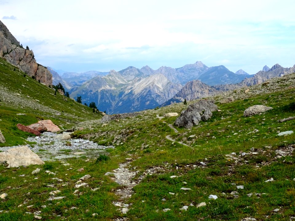 Dans le bas du Vallon des Pelouses 