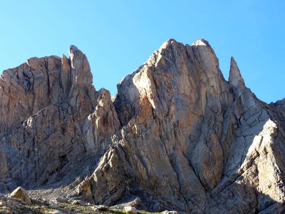 Dans le Vallon Claus, les Aspaturas ... habitat des bouque… 