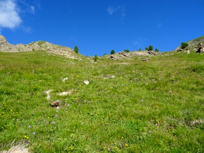 Il faut remonter la prairie ... dré dans le pentu ... sur … 