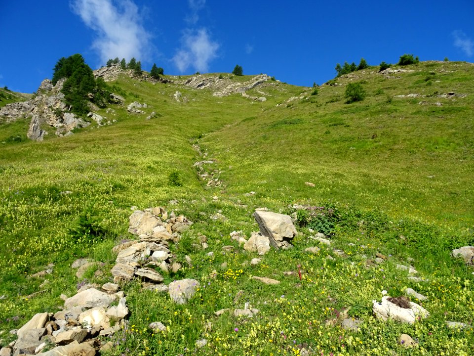 Il faut remonter la prairie dans ce petit thalweg, sur la … 